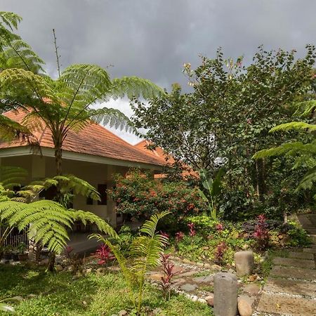 Ara Garden Inn, Accommodation, Yoga Studio & Spa Ruteng Εξωτερικό φωτογραφία