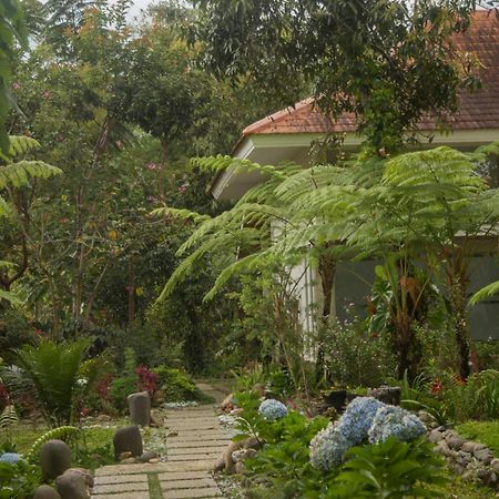 Ara Garden Inn, Accommodation, Yoga Studio & Spa Ruteng Εξωτερικό φωτογραφία