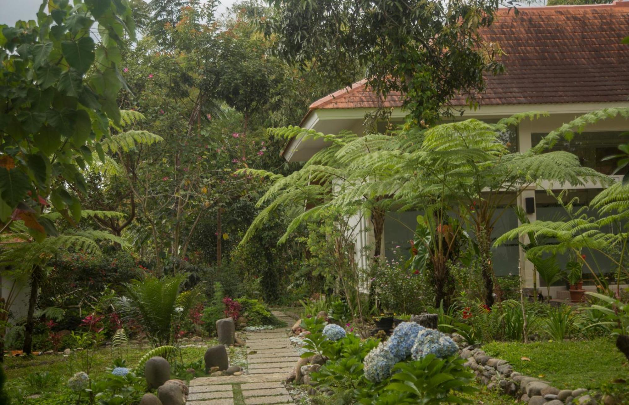 Ara Garden Inn, Accommodation, Yoga Studio & Spa Ruteng Εξωτερικό φωτογραφία